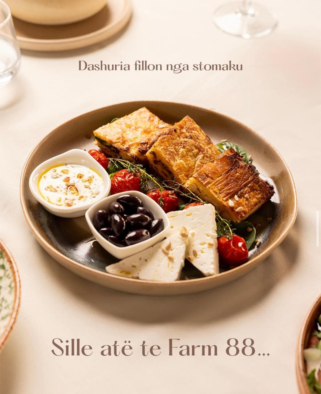 Byrek me djathë feta - ushqim tradicional shqiptar Farm 88